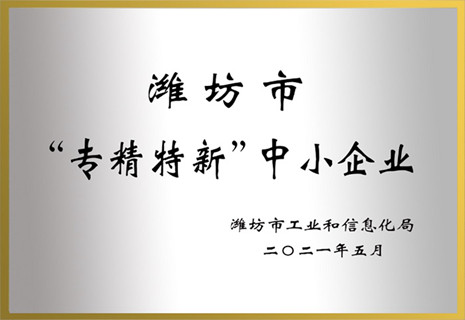 山东SG亚洲胜游获批潍坊市“专精特新”声誉