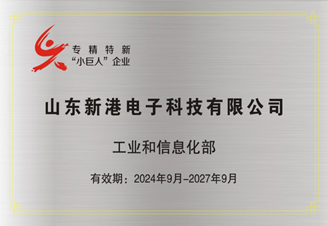 喜讯！SG亚洲胜游电子入选第六批专精特新“小巨人”企业称呼